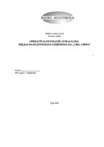 Referāts 'Operatīvās un finanšu sviras loma peļņas paaugstināšanā uzņēmumā SIA "Cido grupa', 1.
