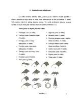 Referāts 'Jumtu formas', 5.