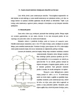 Referāts 'Jumtu formas', 6.