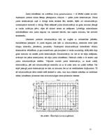 Referāts 'Jumtu formas', 11.
