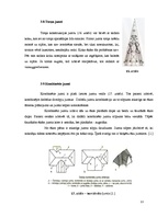 Referāts 'Jumtu formas', 13.