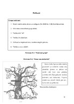 Referāts 'Saskarsmes treniņš. Pašvērtējums un pretenziju līmenis', 14.