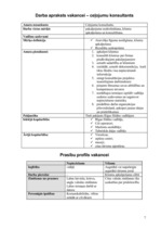 Paraugs 'Patstāvīgais darbs personālvadībā par SIA "Discovery"', 7.