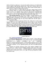 Diplomdarbs 'Banku klientu lojalitātes programmas un sadarbības partneru izvēle to īstenošana', 24.