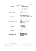 Diplomdarbs 'Banku klientu lojalitātes programmas un sadarbības partneru izvēle to īstenošana', 26.