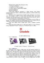 Diplomdarbs 'Banku klientu lojalitātes programmas un sadarbības partneru izvēle to īstenošana', 29.