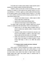 Referāts 'Uzmanības piesaistīšanas paņēmieni TV reklāmās (patērētāju attieksme pret tiem)', 6.