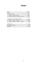 Referāts 'Skolēnu valodas kultūra', 2.