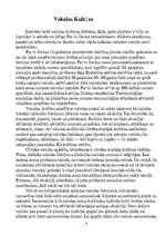 Referāts 'Skolēnu valodas kultūra', 4.