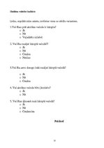 Referāts 'Skolēnu valodas kultūra', 10.