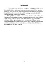 Referāts 'Skolēnu valodas kultūra', 12.