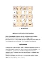 Referāts 'Vecmātes izglītojošās darbības modulis', 3.