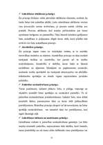 Konspekts 'Tiesību principu vieta un loma tiesībās', 12.