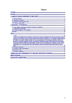 Referāts 'Liepājas kafijas eksporta plāns', 2.