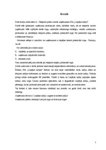 Referāts 'Liepājas kafijas eksporta plāns', 3.