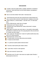 Referāts 'Liepājas kafijas eksporta plāns', 34.