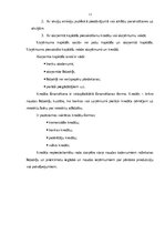 Referāts 'Firmas finanšu mērķi un funkcijas', 11.