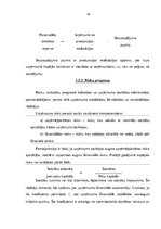 Referāts 'Firmas finanšu mērķi un funkcijas', 16.