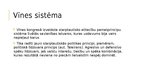 Prezentācija 'Vīnes sistēma', 6.