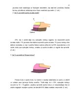 Referāts 'Fizisko īpašību attīstība 16 - 18 gadus vecām jaunietēm', 15.