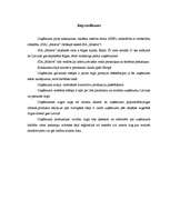 Biznesa plāns 'Biznesa plāns', 2.