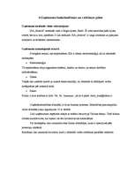 Biznesa plāns 'Biznesa plāns', 10.