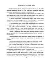 Prakses atskaite 'SIA "Consilium Optima Brokers"', 20.