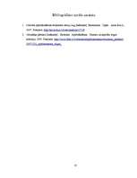 Prakses atskaite 'SIA "Consilium Optima Brokers"', 35.