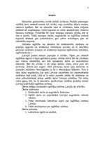 Referāts 'Izglītība', 3.