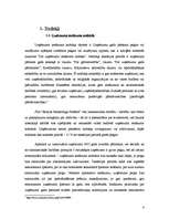 Prakses atskaite 'Prakses atskaite uzņēmumā "BMS"', 4.