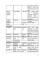 Prakses atskaite 'Prakses atskaite uzņēmumā "BMS"', 13.