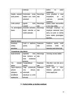 Prakses atskaite 'Prakses atskaite uzņēmumā "BMS"', 14.