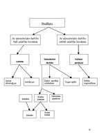 Prakses atskaite 'Prakses atskaite uzņēmumā "BMS"', 19.