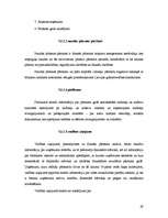 Prakses atskaite 'Prakses atskaite uzņēmumā "BMS"', 29.