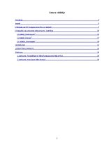 Referāts 'Pusaudžu dzīves un jūtu attēlojums Māra Runguļa prozas darbos', 2.