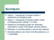 Referāts 'Primāro grupu ietekme uz jēdzienu vizuālo uztveri vidusskolas 8.klasē', 23.