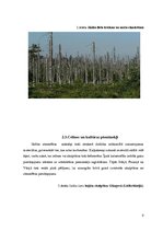 Referāts 'Skābie lieti un to ietekme uz apkārtējo vidi', 9.