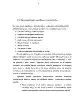 Referāts 'Inventarizācijas', 12.