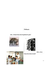 Referāts 'Skolēna lietišķais apģērbs', 11.