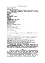 Konspekts 'Cīrulis', 5.