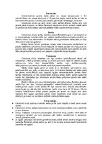 Konspekts 'Cīrulis', 6.