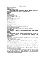 Konspekts 'Cīrulis', 7.