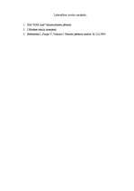 Referāts 'SIA "XX auto" finansiālā stāvokļa analīze', 16.