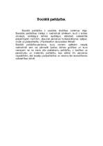 Referāts 'Sociālais darbs', 4.