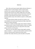 Referāts 'Agresīvas uzvedības atšķirības zēniem un meitenēm 12 - 13 gadu vecumā', 2.