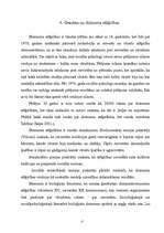 Referāts 'Agresīvas uzvedības atšķirības zēniem un meitenēm 12 - 13 gadu vecumā', 17.