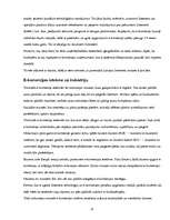 Referāts 'Interneta attīstības tendences', 13.