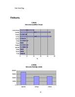 Referāts 'Interneta attīstības tendences', 29.