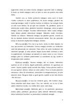 Referāts 'Enerģijas aprite dabā', 4.