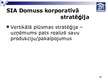 Prezentācija 'SIA "Domuss" stratēģiskā vadīšana', 17.